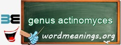WordMeaning blackboard for genus actinomyces